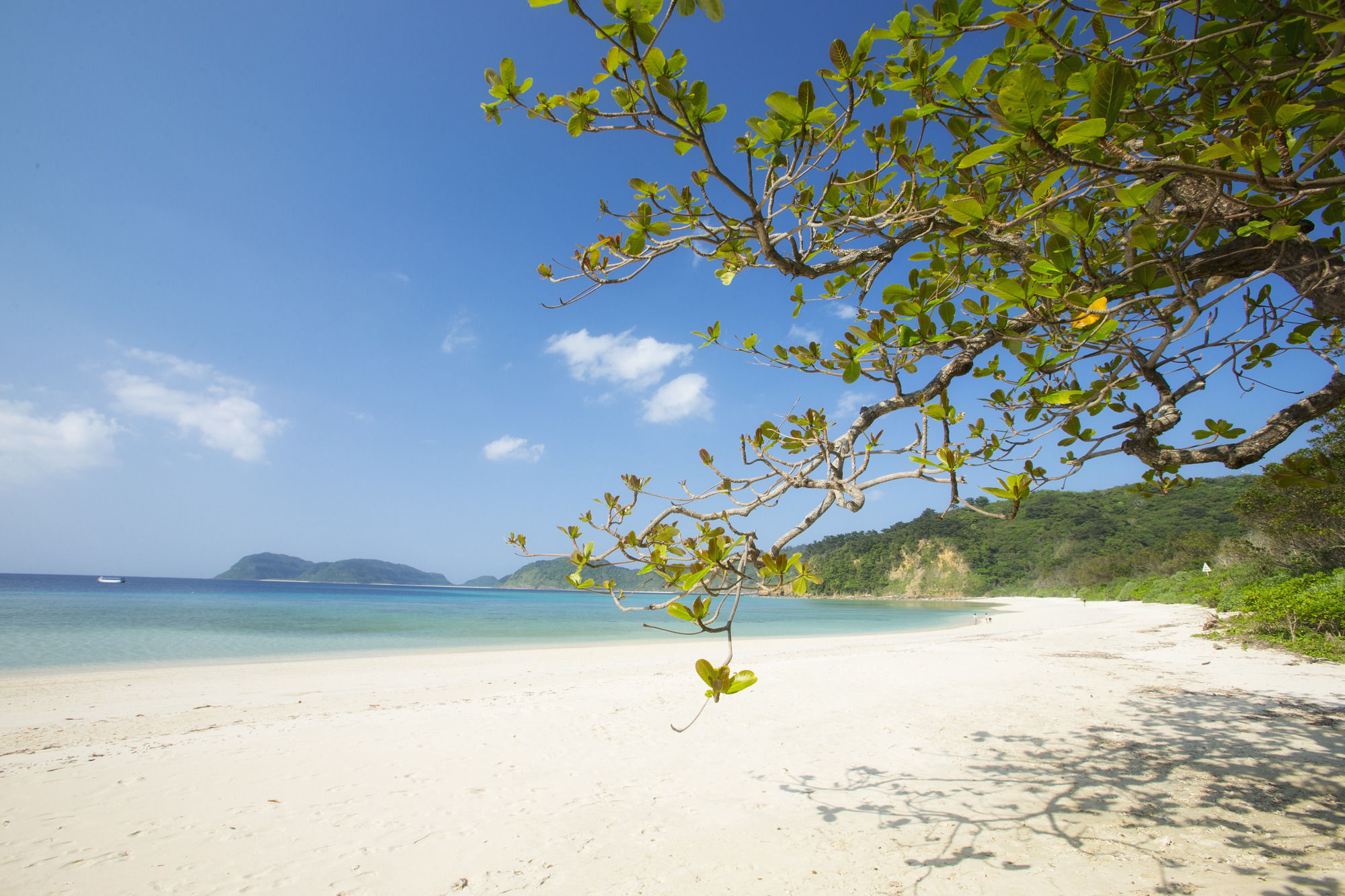 Iriomote Hotel By Hoshino Resorts Urauchi Exterior photo